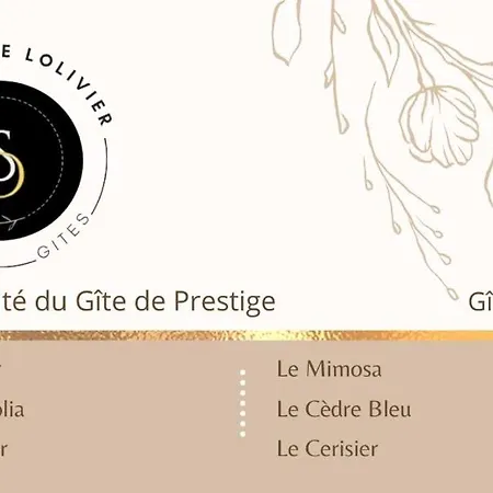 La Salamandre De L Olivier - Le Laurier Aubignosc