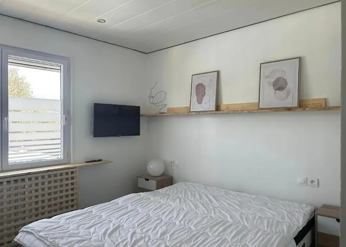 La Salamandre De L Olivier - Le Laurier *