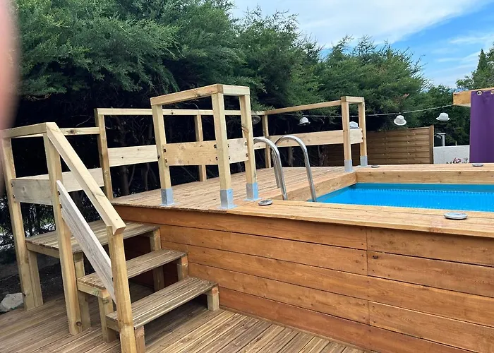 La Salamandre De L Olivier - Le Laurier