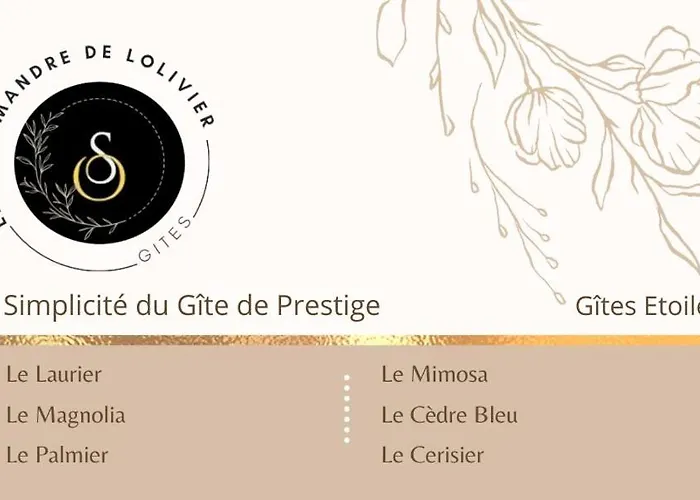 La Salamandre De L Olivier - Le Laurier Aubignosc