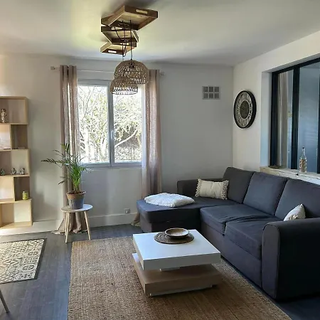 La Salamandre De L Olivier - Le Laurier