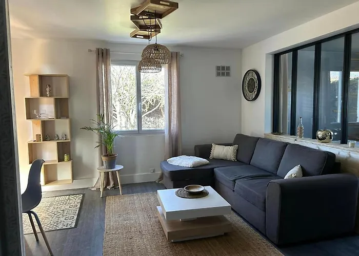 La Salamandre De L Olivier - Le Laurier