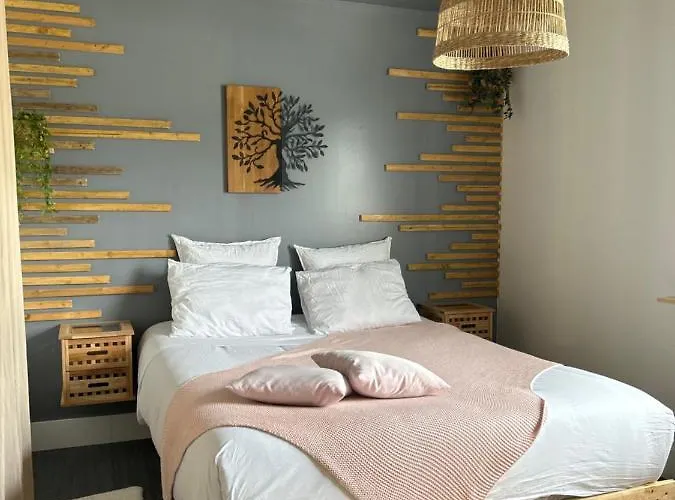 La Salamandre De L Olivier - Le Laurier Holiday home Aubignosc